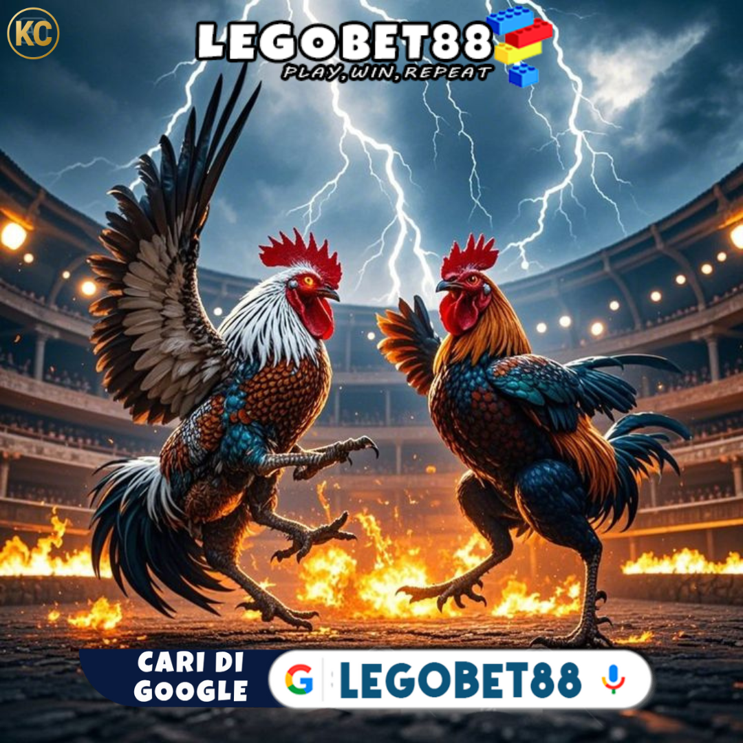 Legobet88 # Agen Sabung Ayam Online Taruhan Wala Meron Live Nonstop 24 jam