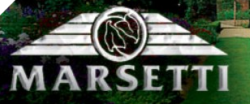 Marsetti Inc.